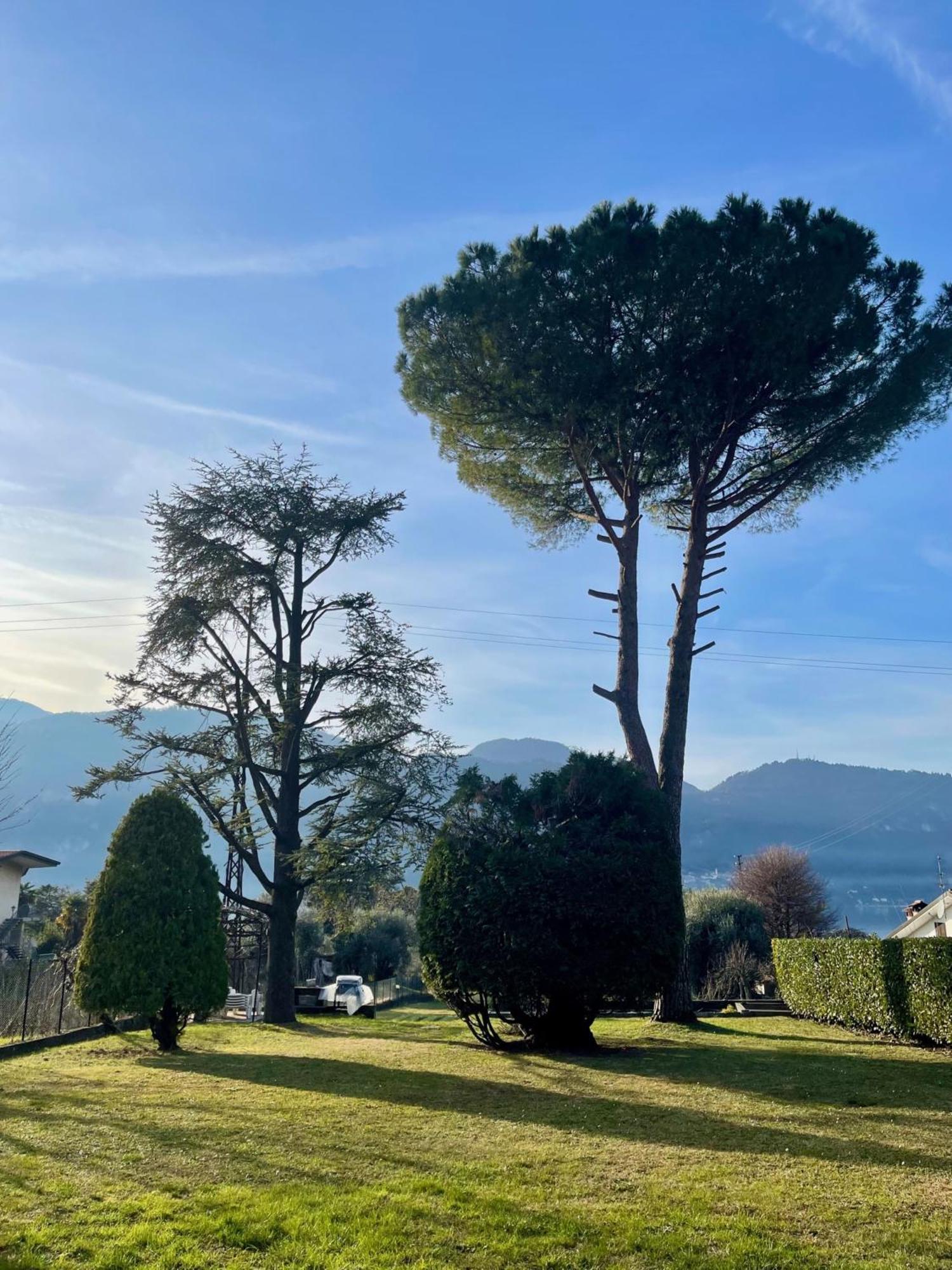 Villa Rosi Lierna Εξωτερικό φωτογραφία