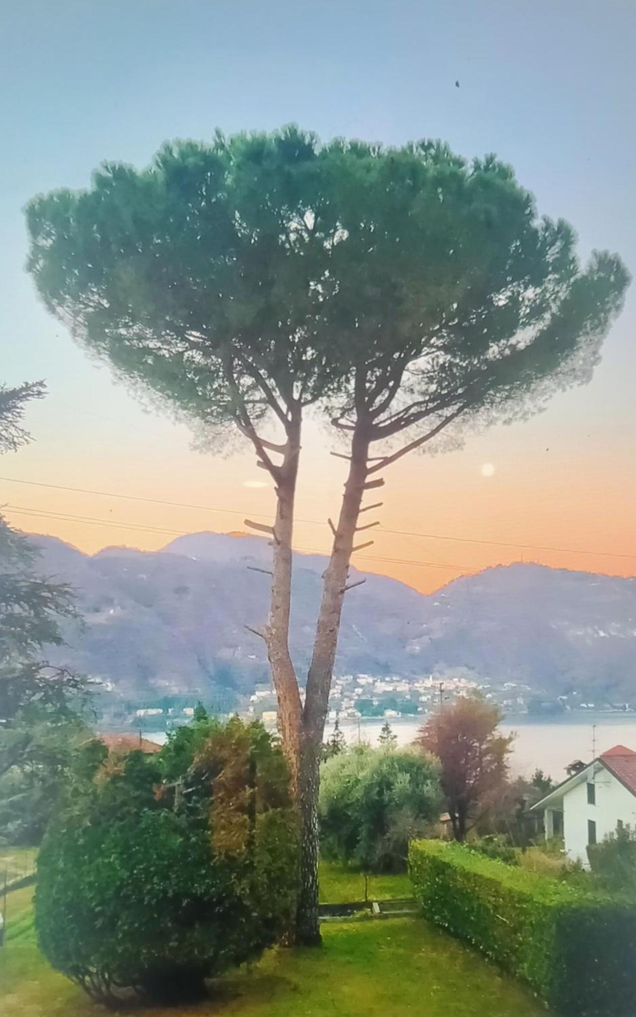 Villa Rosi Lierna Εξωτερικό φωτογραφία