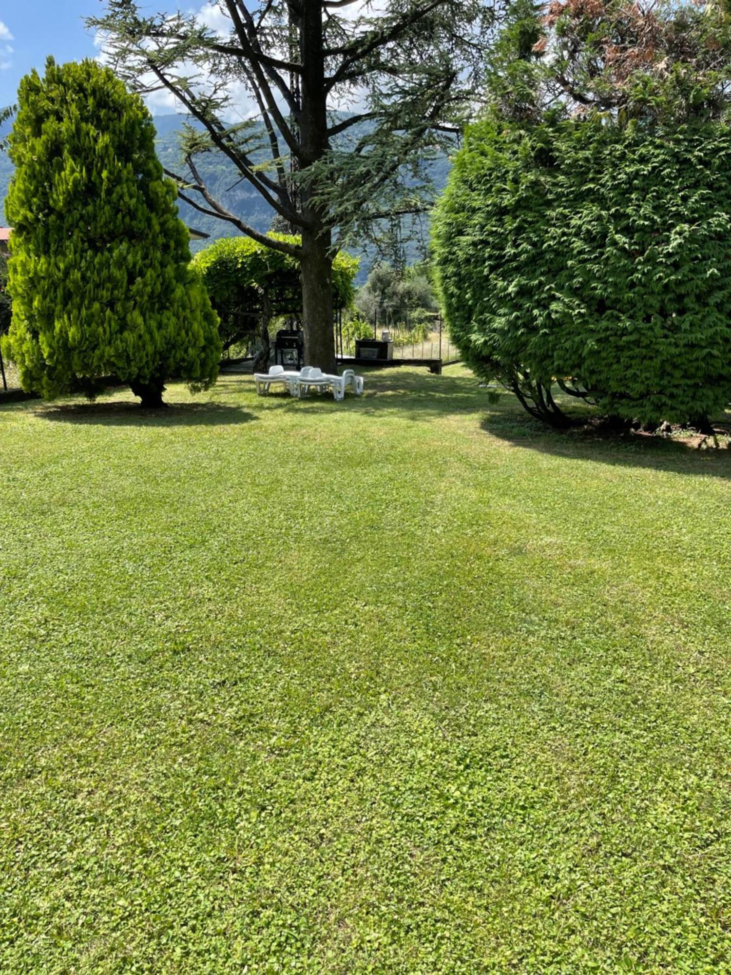 Villa Rosi Lierna Εξωτερικό φωτογραφία